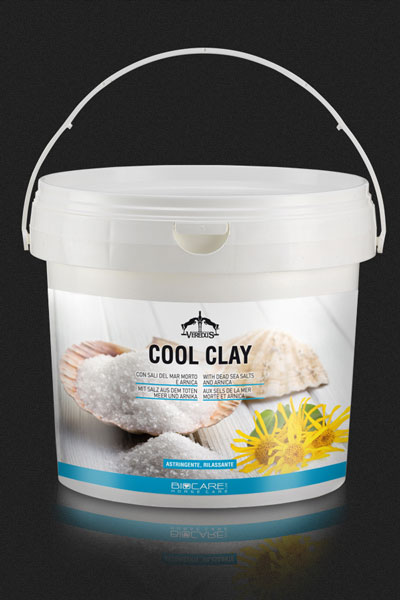 CRETATA AI SALI DEL MAR MORTO 2,5 kg COOL CLAY  